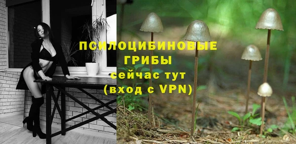 мяу мяу мука Верхний Тагил