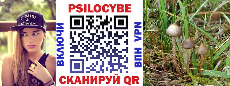 Псилоцибиновые грибы MAGIC MUSHROOMS  Купить  Таштагол 